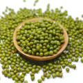 hot sale with good price of green mung bean 2015crop